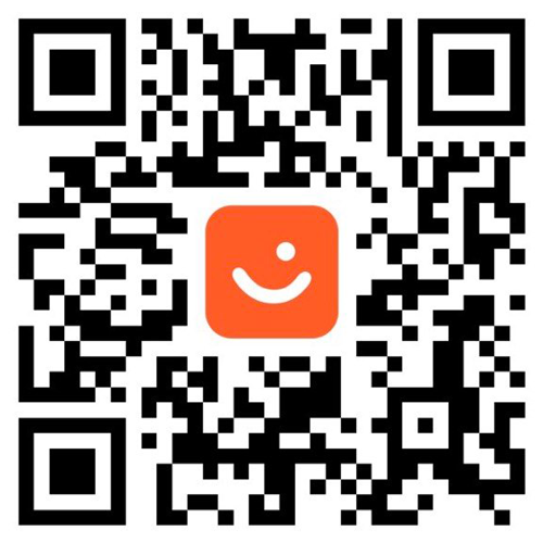 Vipps QR Perfecto #45538